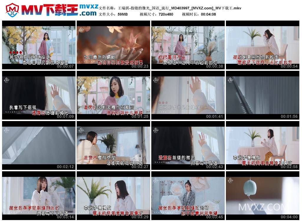 王瑞淇-指缝的微光_国语_流行_MD403997
